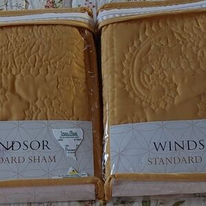 Windsor super soft Paisley pillow shams set of 2